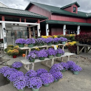 Exterior mums display