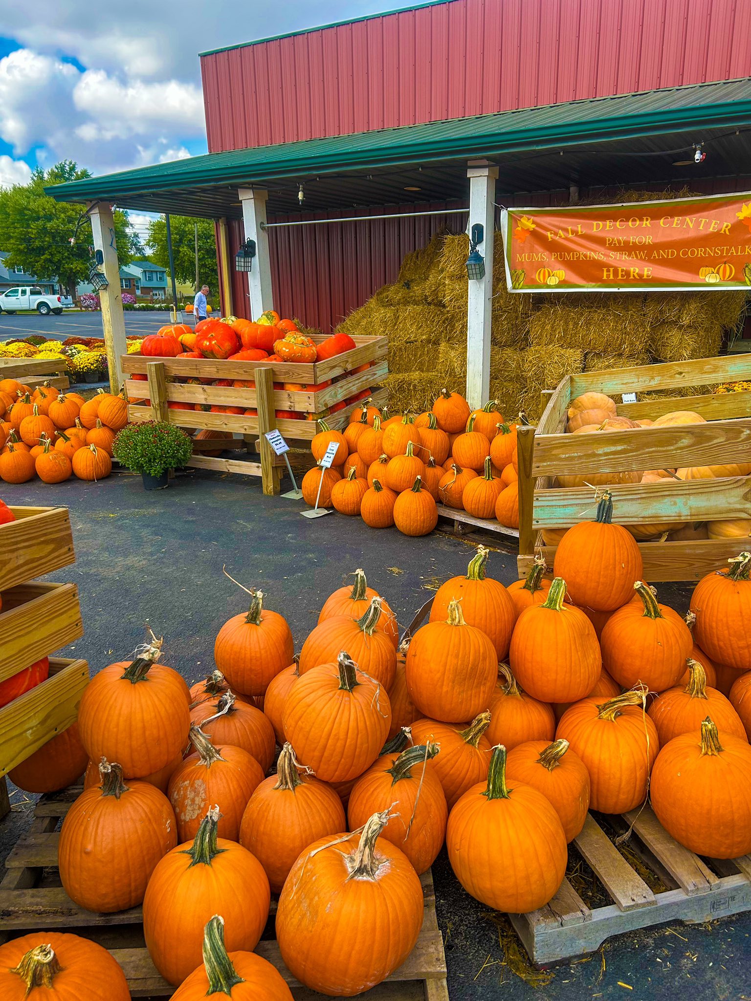Outdoor pumpkin display at Covered Wagon Farm Market
